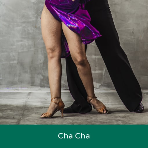 Online Beginners Cha Cha Dance Course