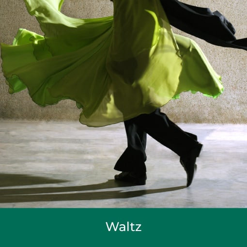 Online Beginners Waltz Dance Course