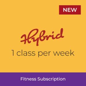 Hybrid Fitness Subscription